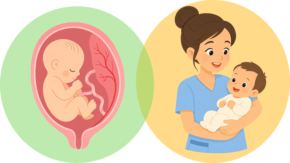 Feto e mãe segurando bebê
